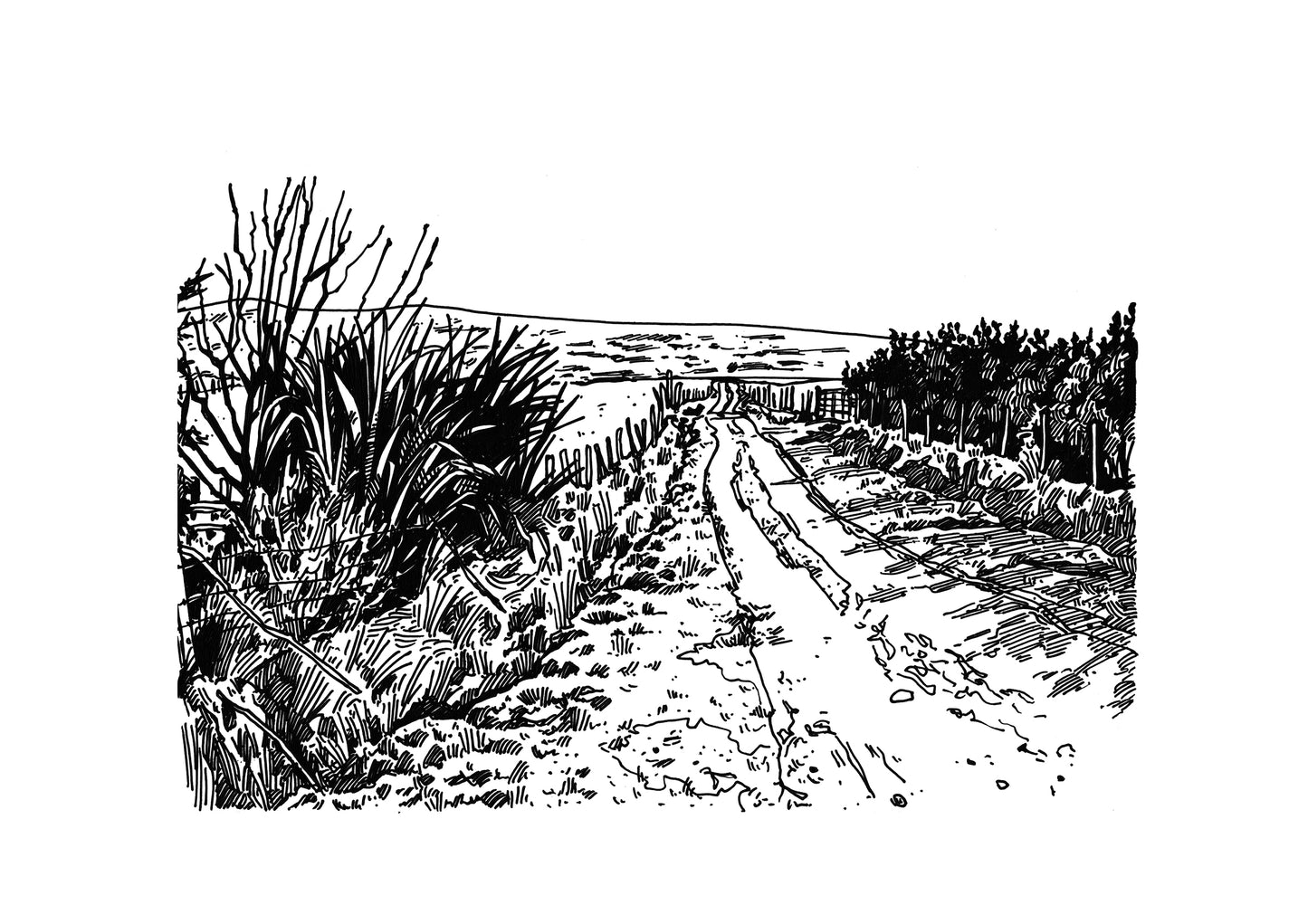Bog Road, Dooagh