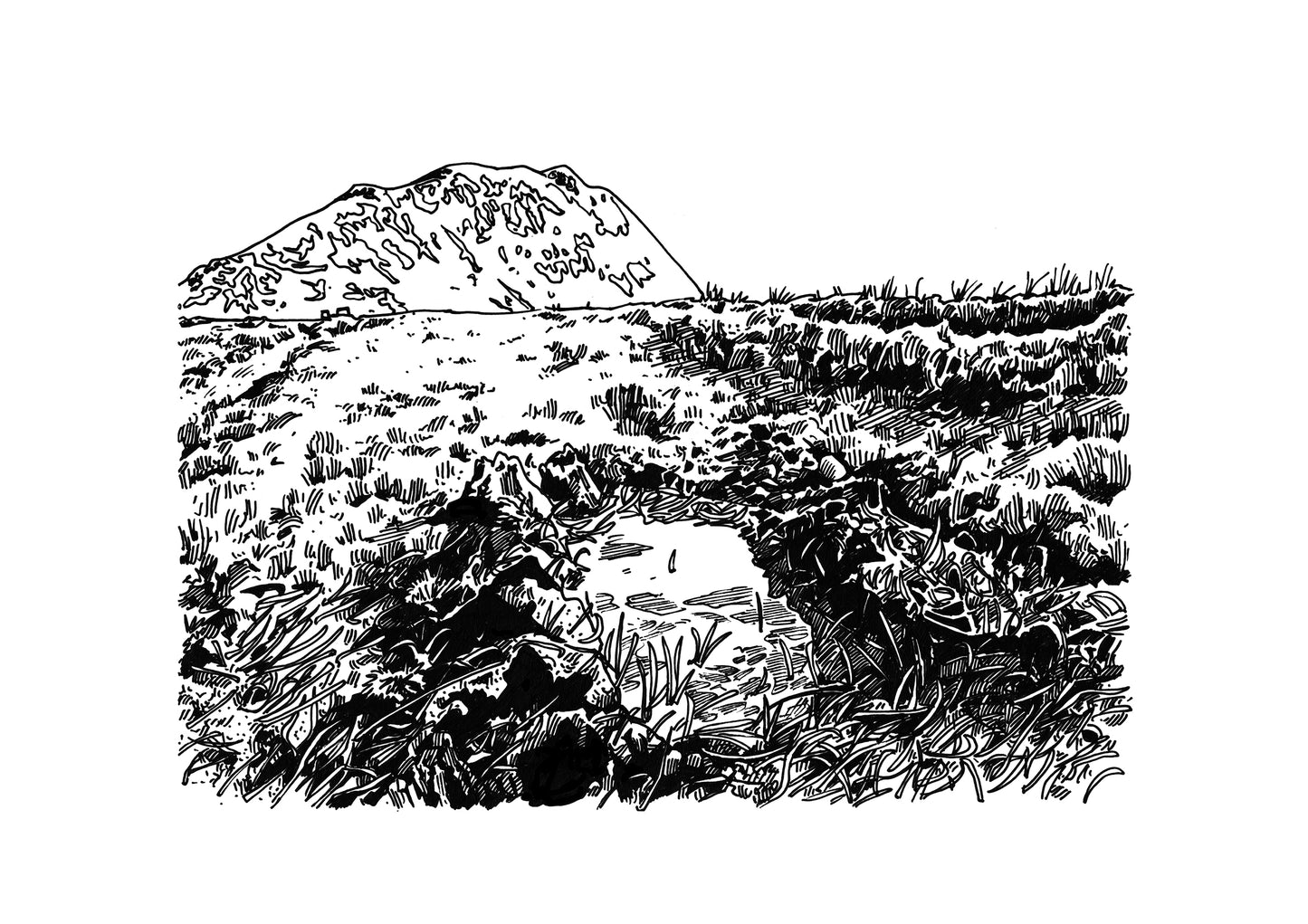 Bog Pool, Slievemór Road